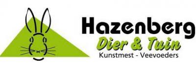 Hazenberg